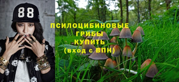 трава Гусиноозёрск