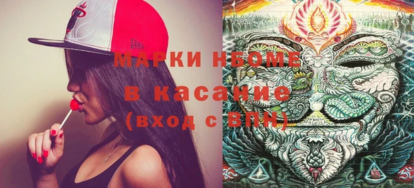 трава Гусиноозёрск