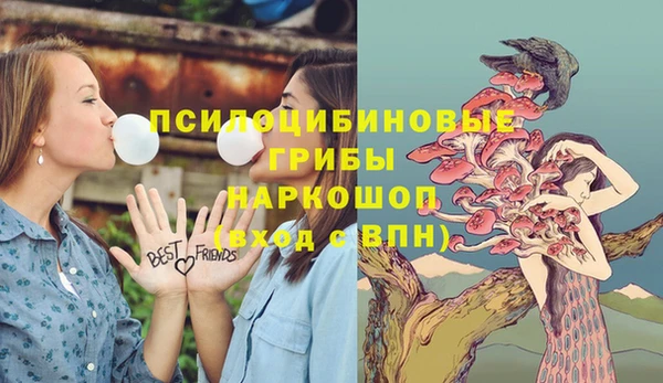 2c-b Гусь-Хрустальный