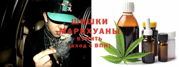 трава Гусиноозёрск