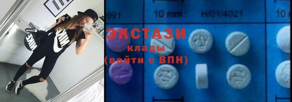 трава Гусиноозёрск