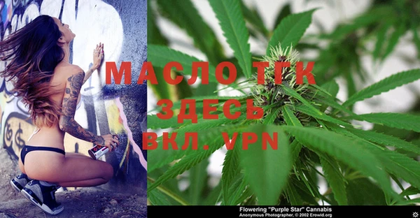 трава Гусиноозёрск