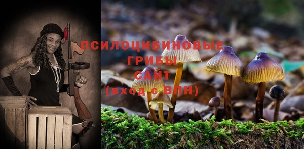 2c-b Гусь-Хрустальный
