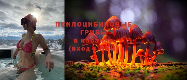 трава Гусиноозёрск